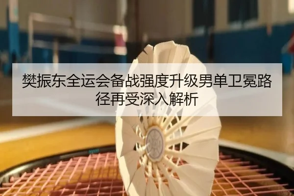 樊振东全运会备战强度升级男单卫冕路径再受深入解析